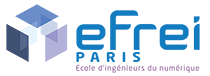 Efrei, Villejuif, Titre professionnel de Chef de projet web-marketing et conception de site